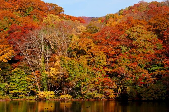 Shirakami Sanchi Day Hike With Government-Licensed Guide - Confirmation and Booking Process