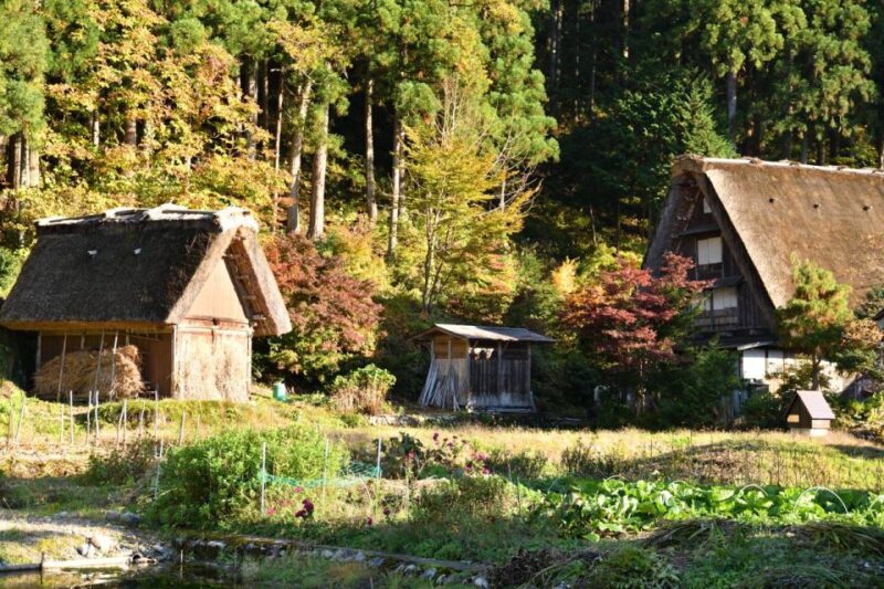 Shirakawa-go Audio Guide: Traditional Village of Japan - Key Points