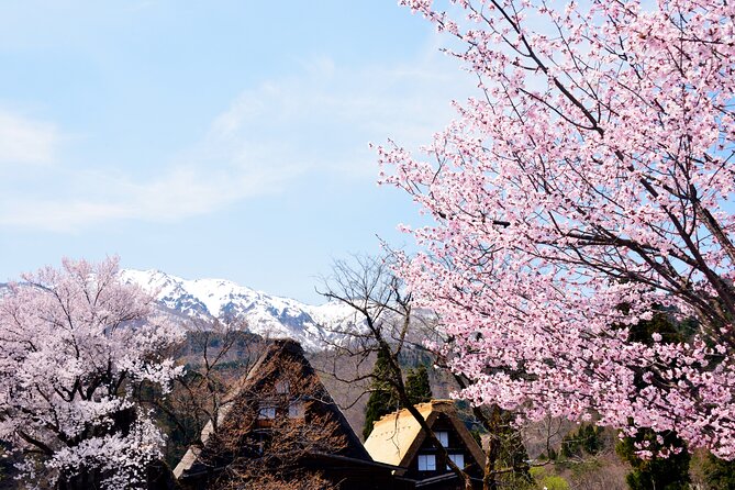 Shirakawa-Go From Nagoya One Day Bus Self-Guided Tour - Cancellation Policy