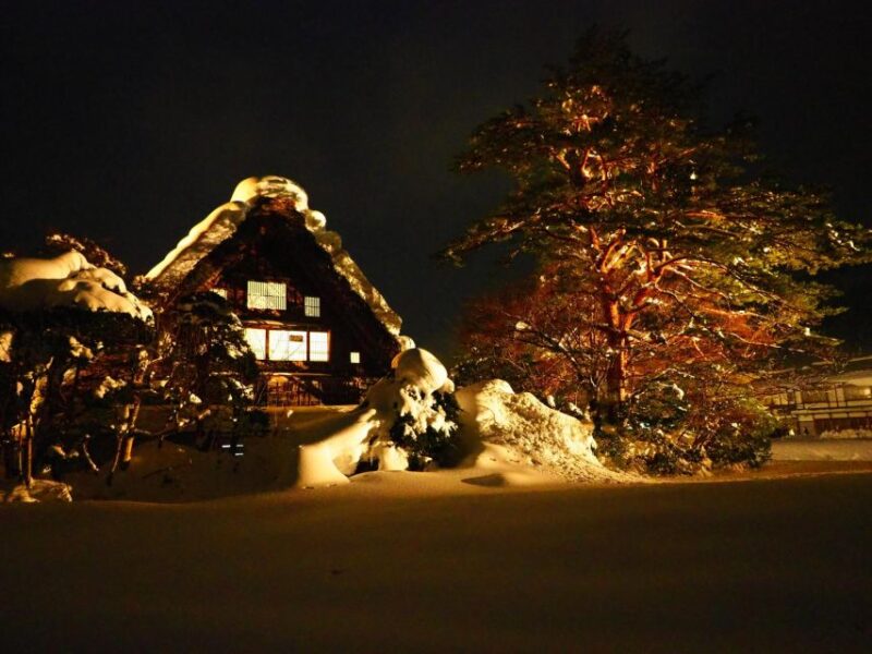 Shirakawa-Go From Nagoya One Day Bus Ticket One-Way/Round-Trip - Transportation Details