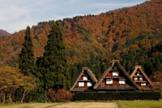 Shirakawa-Go From Nagoya One Day Bus Ticket One-Way/Round-Trip - Additional Information