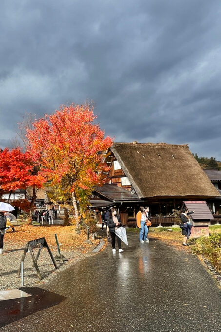 Shirakawa-Go Half Day Tour (Unesco World Heritage) - Shirakawa-go Overview