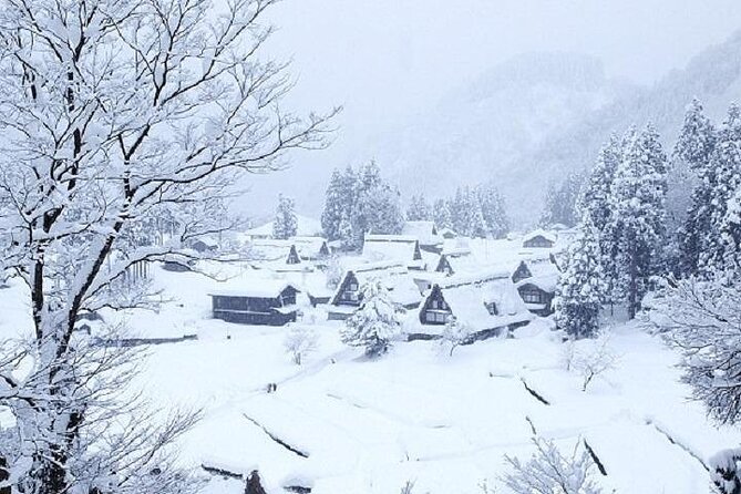 Shirakawago and Takayama 2 Days Tour From Nagoya - Accessibility Information