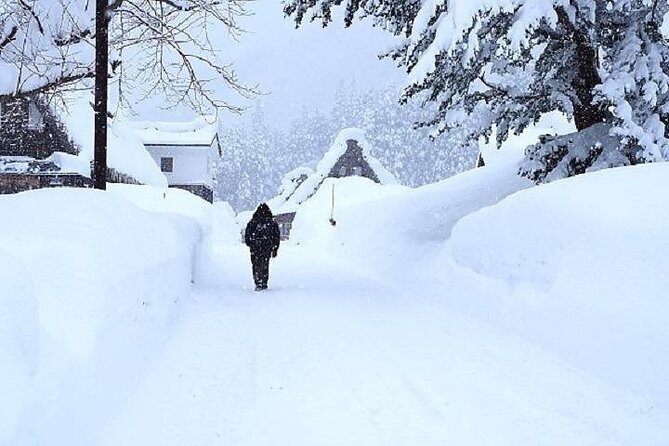 Shirakawago and Takayama 2 Days Tour From Osaka or Kyoto - Included in the Tour