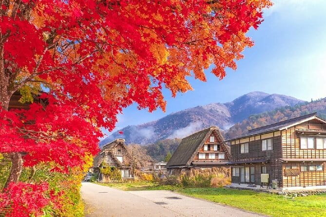 Shirakawago Gujo Hachiman and Hida Takayama One Day Tour | Nagoya - Explore the Charming Shirakawago
