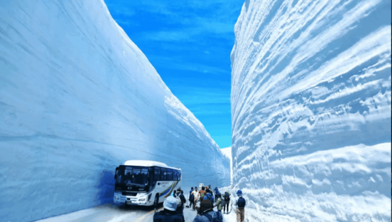 Shirakawago & Hida & Takayama Snowwall 2DAYS Tour From Osaka - Inclusions