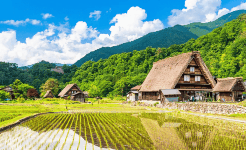 Shirakawago & Hida & Takayama Snowwall 2DAYS Tour From Osaka - Visiting Takayamas Old Town