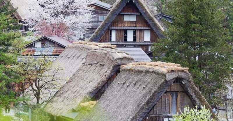 Shirakawago -Takayama One-Day Tour - Key Points