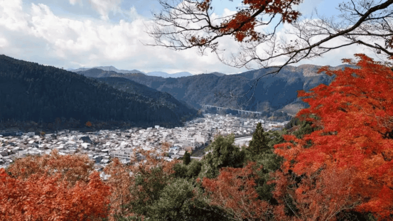 Shirakawago&Hidatakayama&Gujohachiman 1 Day Tour From Nagoya - Inclusions