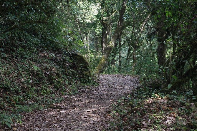 Shivapuri Day Hiking - Included Amenities