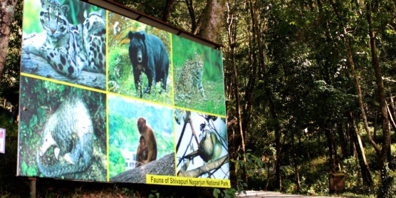 Shivapuri-Nagarjun Hiking - Location and Geography