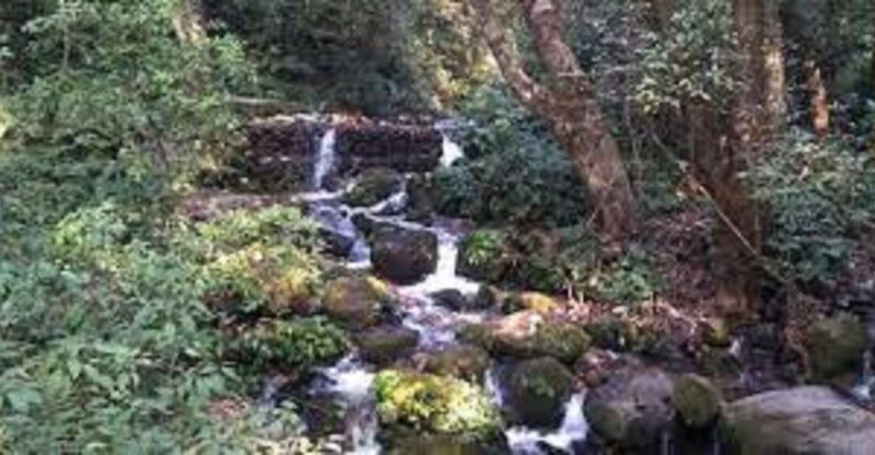 Shivapuri National Park Day Hiking From Kathmandu - Biodiversity and Watersheds
