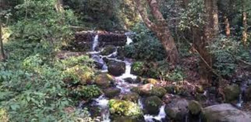 Shivapuri National Park Day Hiking From Kathmandu - Hiking Duration and Difficulty