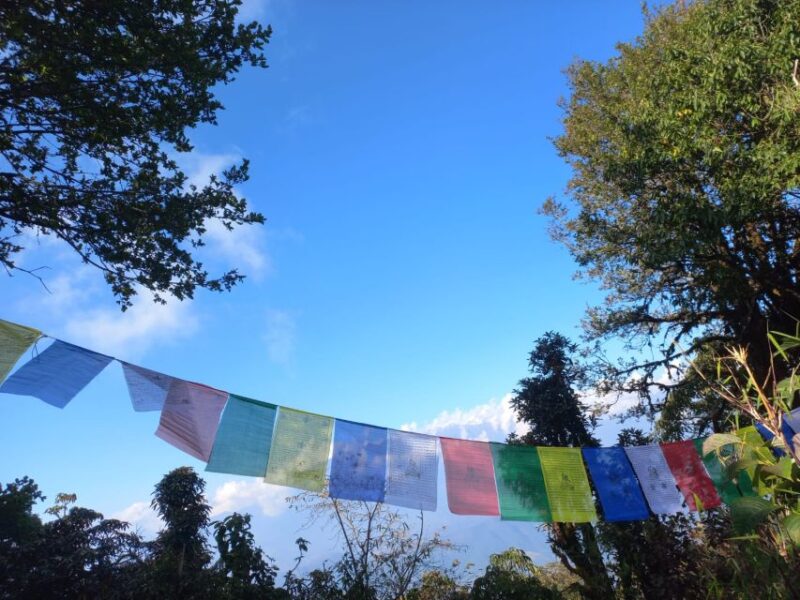 Shivapuri Private Day Hiking Tour From Kathmandu - Personalized Adventure With Dedicated Guide