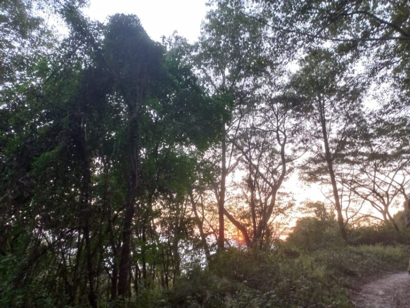 Shivapuri Private Day Hiking Tour From Kathmandu - Important Information and Requirements