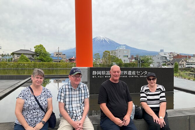 Shizuoka 6hr Private Tour and Japanese Tea Farm Tour With Vehicle - Accessibility and Additional Info