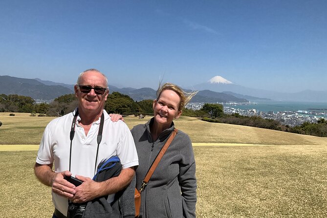 Shizuoka 6hr Private Tour and Japanese Tea Farm Tour With Vehicle - Highlights of the Tour