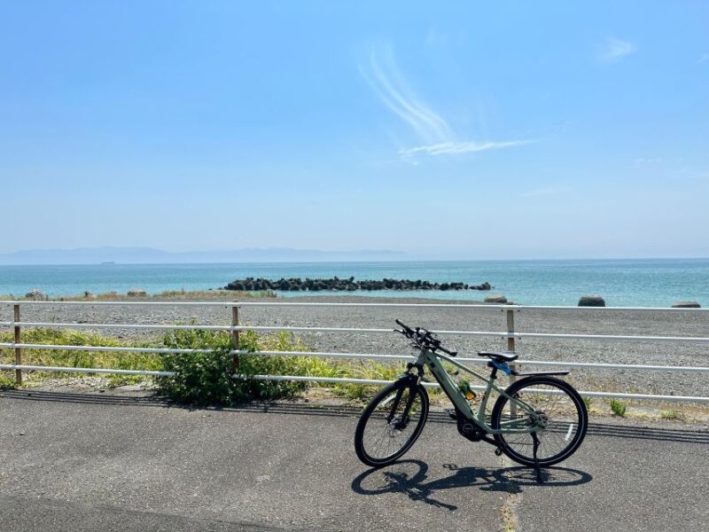 Shizuoka: Shimizu Port, E-Bike Tour - Cultural Experiences