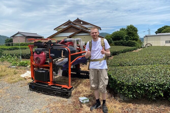 Shizuoka Tea Picking Private Experience - Inclusions and Highlights