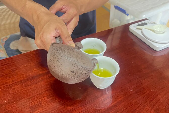 Shizuoka Tea Picking Private Experience - Lunch and Refreshments