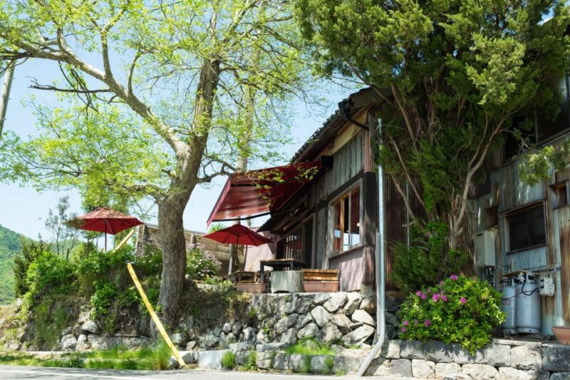 Shodoshima Private Taxi Tour - Pilgrimage Temple Visit - Key Points