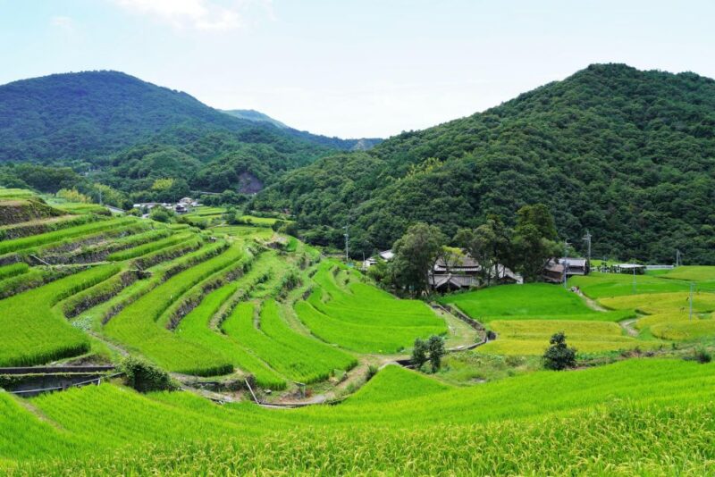 Shodoshima Private Taxi Tour - Pilgrimage Temple Visit - Shadow of Kannon