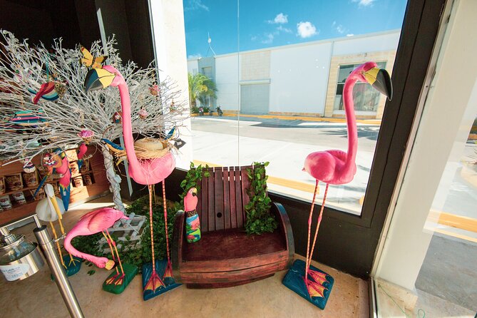 Shopping Tour in Punta Cana With Round Trip Transportation - Getting the Most From the Tour