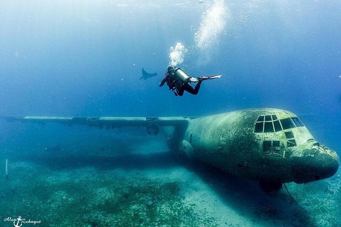 Shore Certified Diving - Two Dives - Dive Site Locations