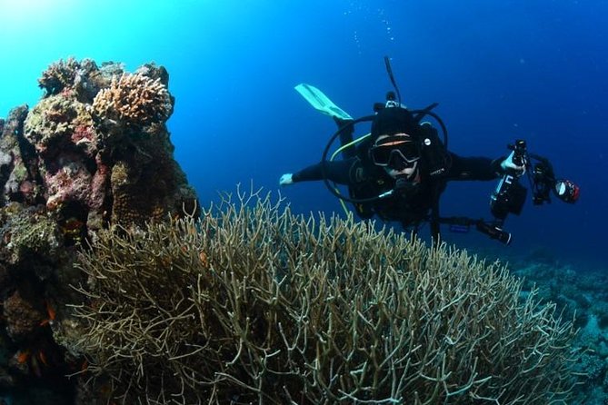 Shore Certified Diving - Two Dives - Pickup and Dropoff Options