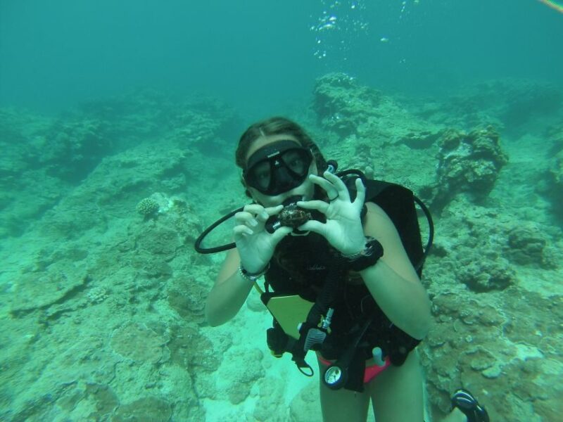 Shore Discover Scuba Diving Experience - Classroom Instruction