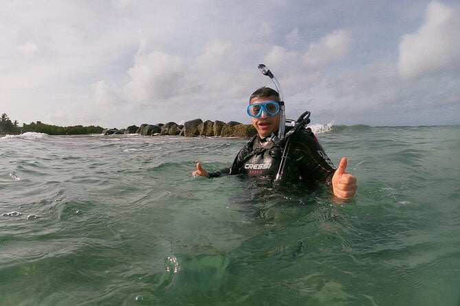 Shore Dive Aruba for Certified Divers - Overview and Details