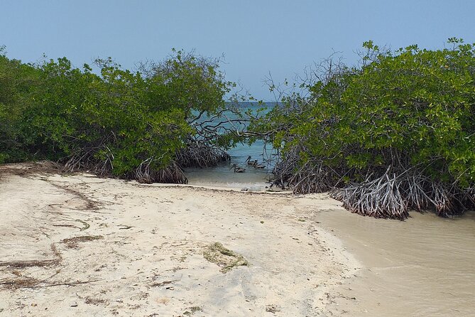 Shore Dive Aruba for Certified Divers - Packing Essentials