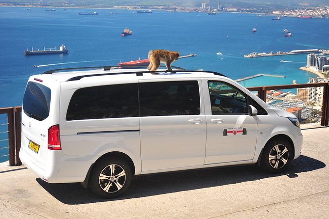 SHORE EXCURSION 3.30hrs Half Day Tour - Tour Availability and Accessibility