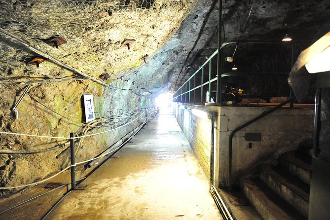 SHORE EXCURSION 3hrs Tunnel Tour - Tour Accessibility and Participation