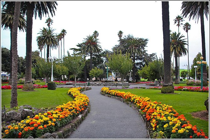 Shore Excursion: 4-Hour Discover Hawkes Bay and Napier Tour - Meeting and Pickup Details