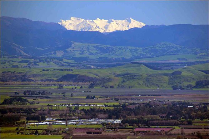 Shore Excursion: 4-Hour Discover Hawkes Bay and Napier Tour - Accessibility and Requirements