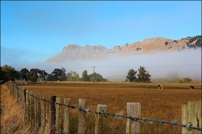 Shore Excursion: 4-Hour Discover Hawkes Bay and Napier Tour - Customer Feedback Highlights