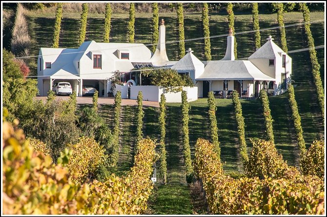 Shore Excursion: 4-Hour Discover Hawkes Bay and Napier Tour - Recent Impacts and Considerations