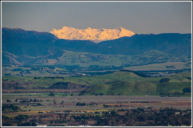 Shore Excursion: 4 Hour Premium Hawkes Bay and Napier Tour - Inclusions and Logistics