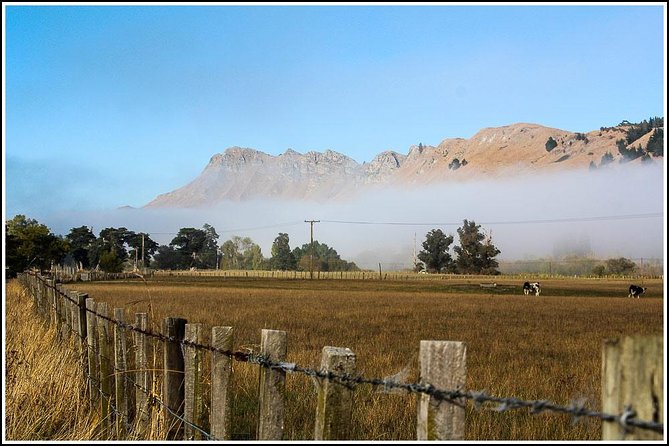 Shore Excursion: 4 Hour Premium Hawkes Bay and Napier Tour - Guest Reviews and Feedback