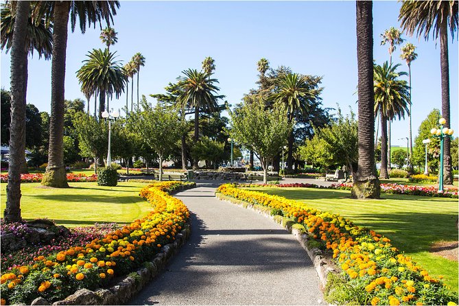 Shore Excursion: 4 Hour Premium Hawkes Bay and Napier Tour - Tour Popularity and Competitiveness