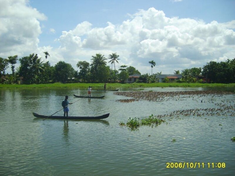 Shore Excursion; Alappuzha Backwater Cruise in Houseboat. - Experience Highlights