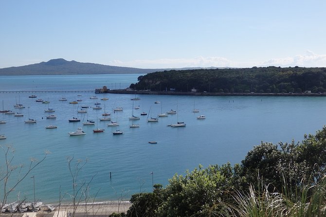 Shore Excursion: Auckland Scenic Full Day Tour - 8 Hours - Pickup and Transportation