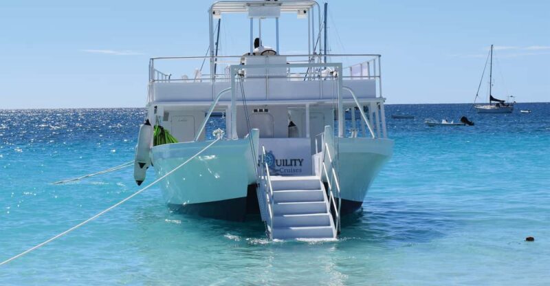 Shore Excursion Barbados Beach Day & Turtle Swim Experience - Beach Amenities and Activities