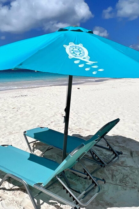 Shore Excursion Barbados Beach Day & Turtle Swim Experience - Cancellation and Payment Policy
