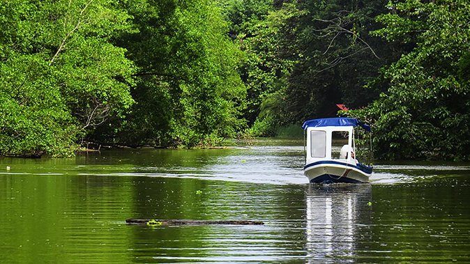 Shore Excursion: Caribbean Highlights Tour From Limon - Pickup Information