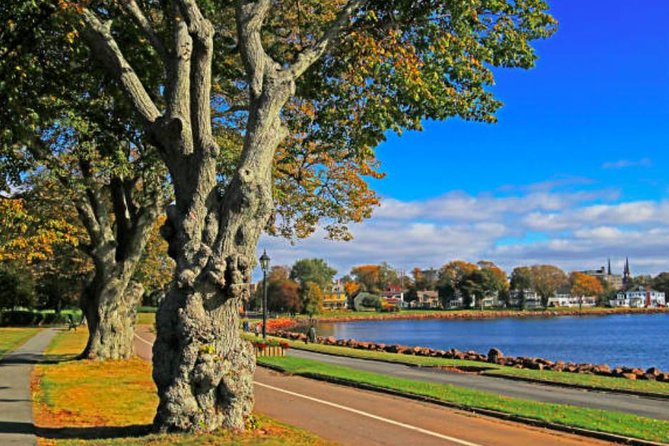 Shore Excursion: Charlottetown Highlights & Delights - Meeting Point and Duration