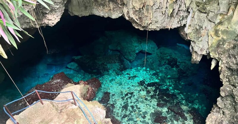 Shore Excursion: Choco National Park and Cabarete Caves Tour - Tour Highlights