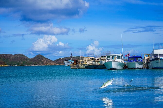 Shore Excursion: City of St Johns Sightseeing Tour - Traveler Feedback and Experiences
