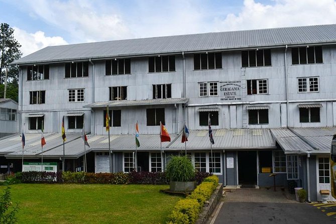 Shore Excursion Colombo Port to Kandy & Tea Factory - Key Points